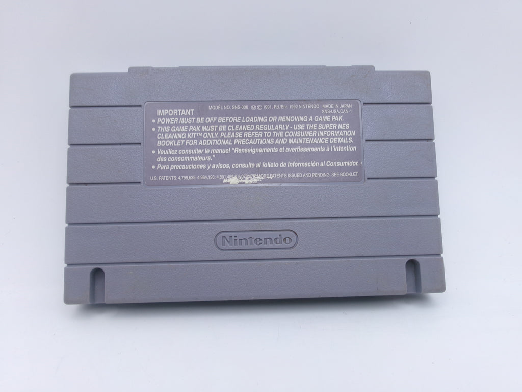 Dennis The Menace Super Nintendo Entertainment System, 1993