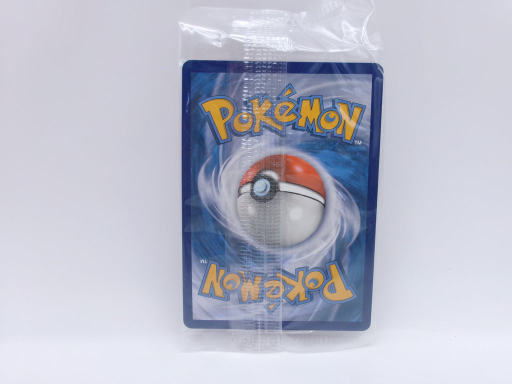 Charizard V SWSH050 SWSH Sword & Shield Promo Cards Holo