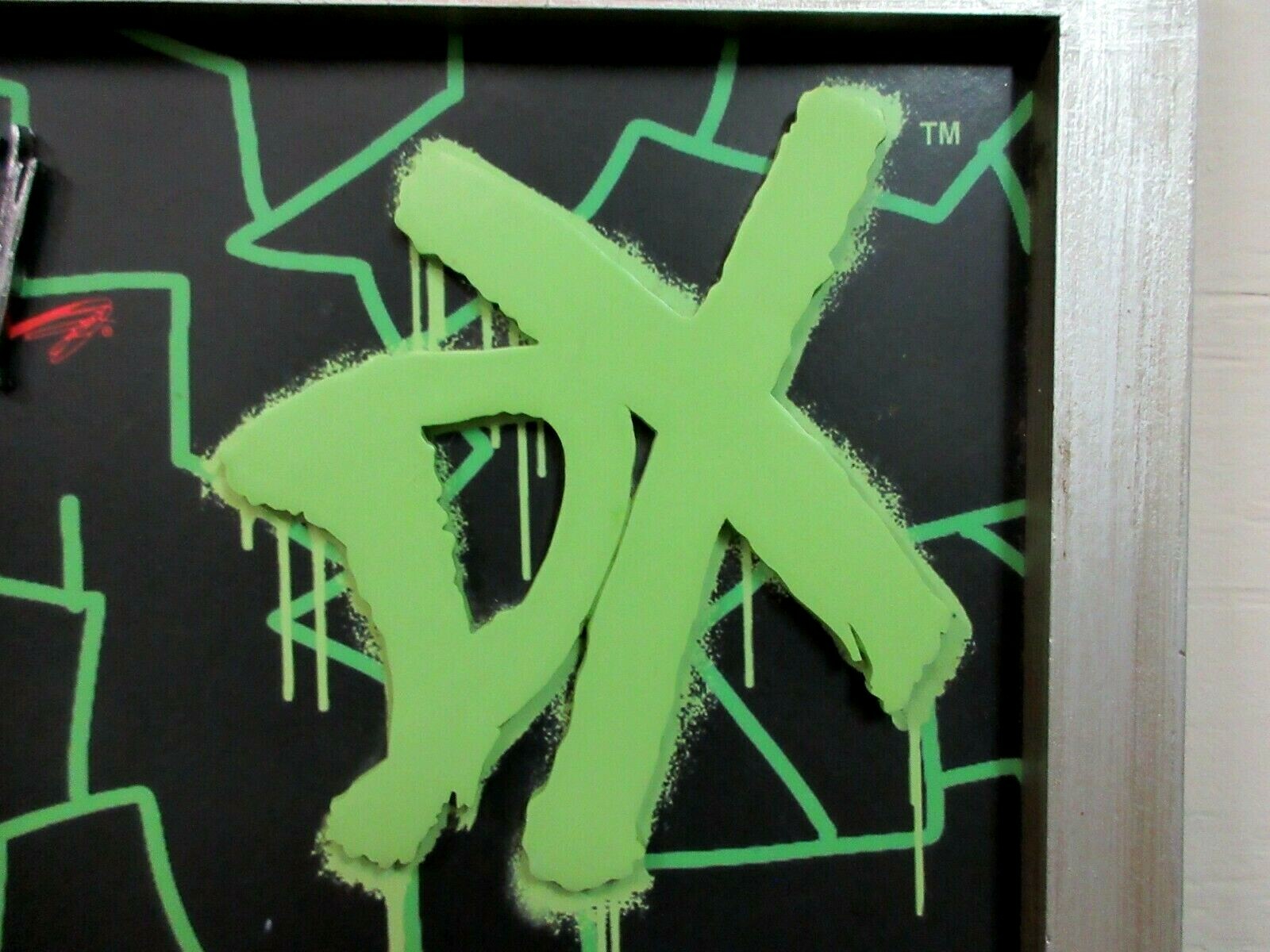 WWE D Generation X Triple H and SHawn Micheal Picture Frame Sliver Buffalo 2007