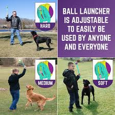 Chew King by Mammoth Ball Launcher Dog Chew Toy, Blue, 2.5-in