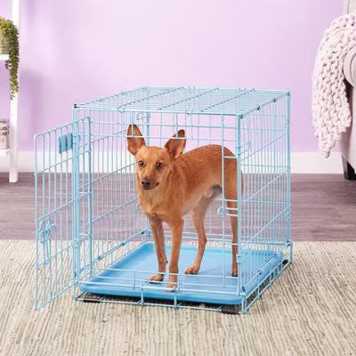 Crates & Kennels MidWest iCrate Single Door Collapsible Wire Dog Crate, Blue, Small