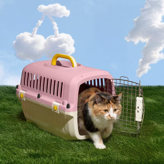 Oodles 20" Plastic Travel Pet Kennel, with Clip On Bowl, Pink
