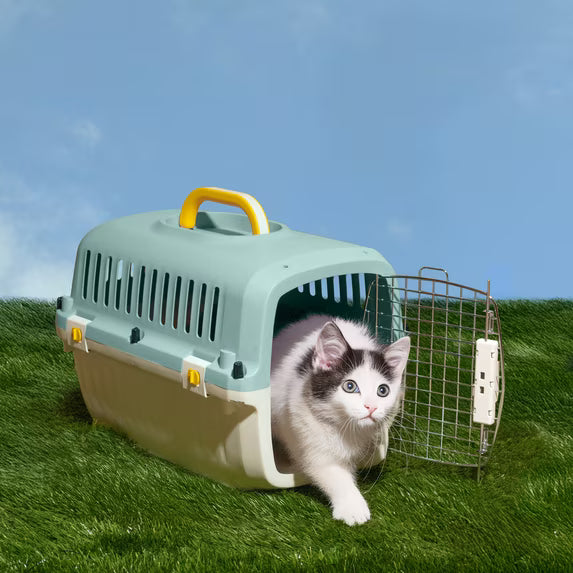 Oodles 20" Plastic Travel Pet Kennel with Clip On Bowl, Blue